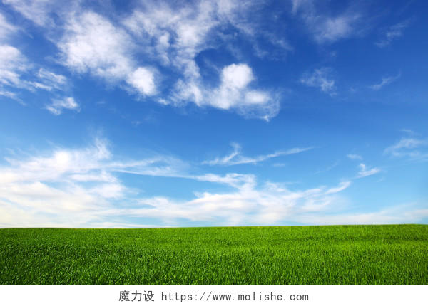 蓝天白云绿草草地背景户外背景野外背景风景希望的田野